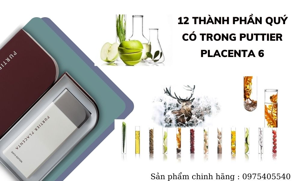 thanh-phan-purtier-placenta